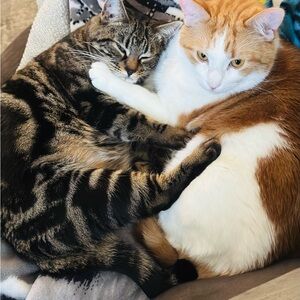 Meet your Posher, Blanca